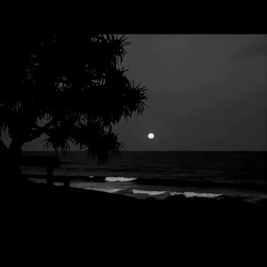 国产宾馆服务员按摩养生三级
